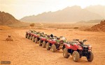 Investigate The Desert in Egypt