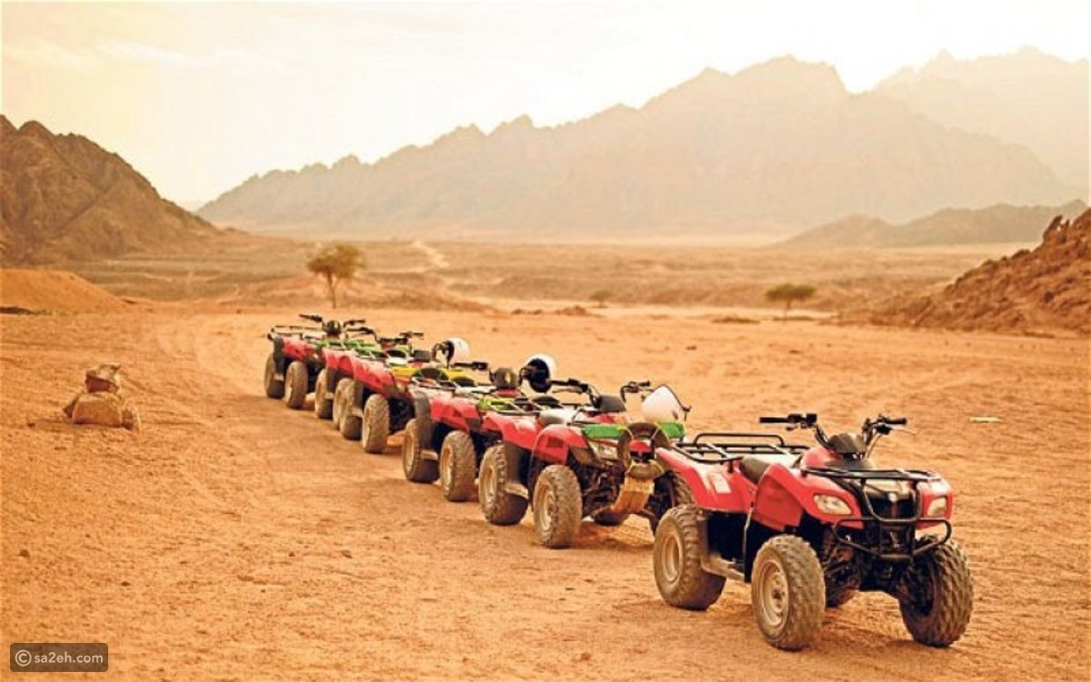 Investigate The Desert in Egypt